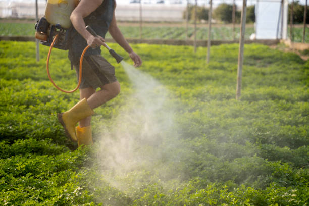 Best Best Pest Control Companies  in Wrightsville, PA