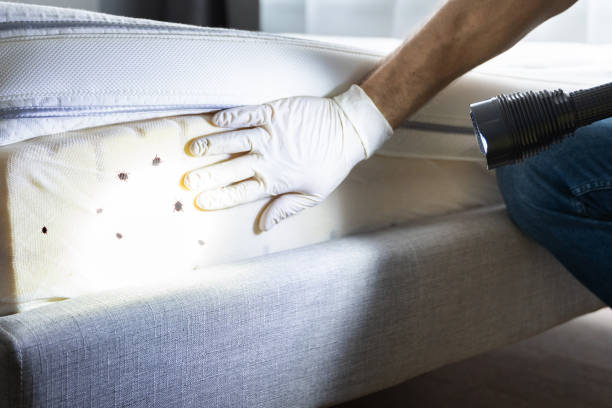 Pest Control for Restaurants in Wrightsville, PA
