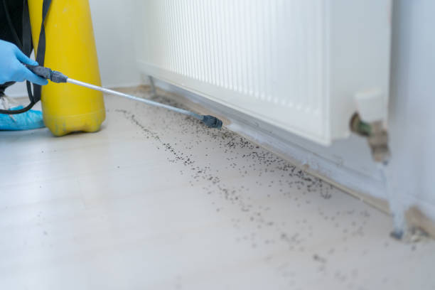 Wrightsville, PA Pest Control Company